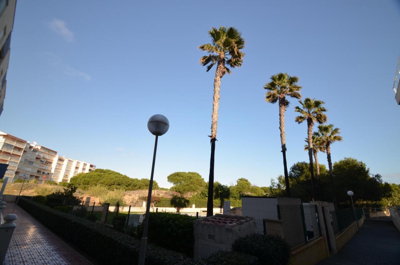 055 Paradise Vacation - Ac/Wifi Apartment La Mata  Exterior foto